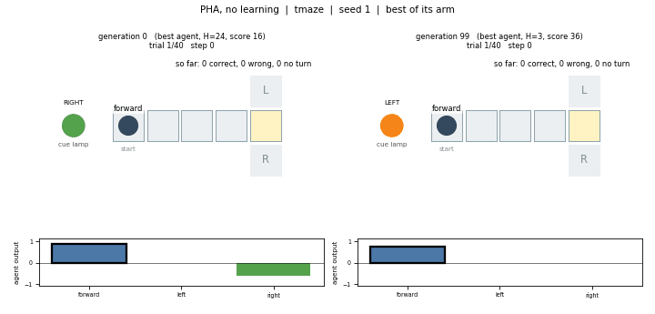 T-maze animation of the best PHA no-learning run